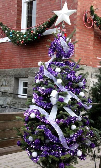 37411cowichanvalleycitizenCOMMXMASCitizenpurpletree