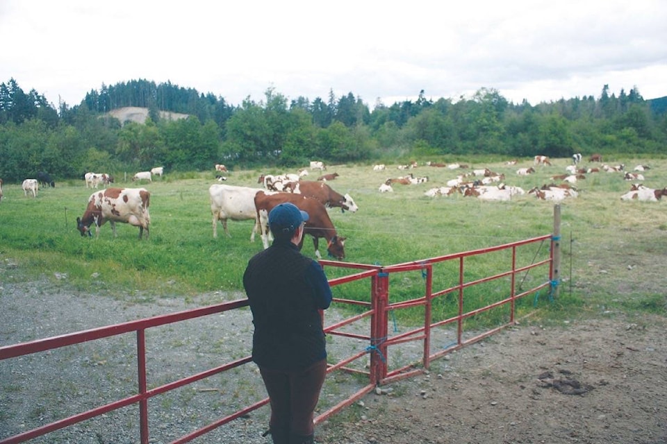 web1_170330-CCI-M-shelley-pasture.kr