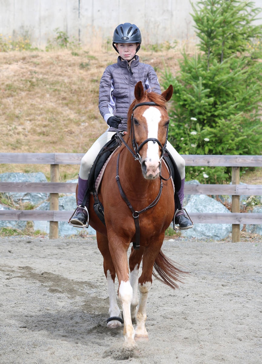 8693776_web1_Coming-up-in-Cowichan-Therapeutic-Riding