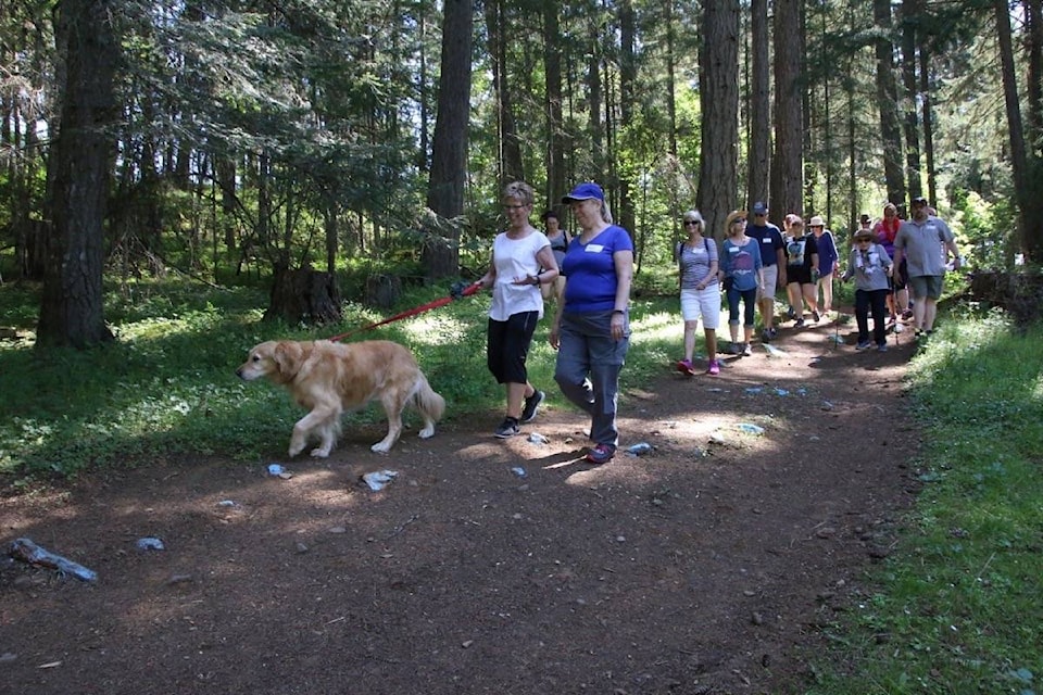 Hike for Hospice is a great chance for Fido to join the delight of a walk in the woods at Providence Farm. (Lexi Bainas/Citizen)
