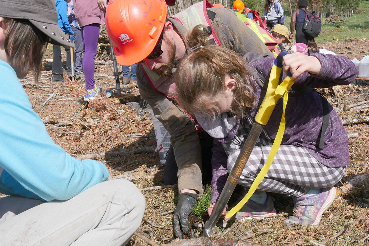 Kids plant more than 1,000 trees to replace those burned in 2017