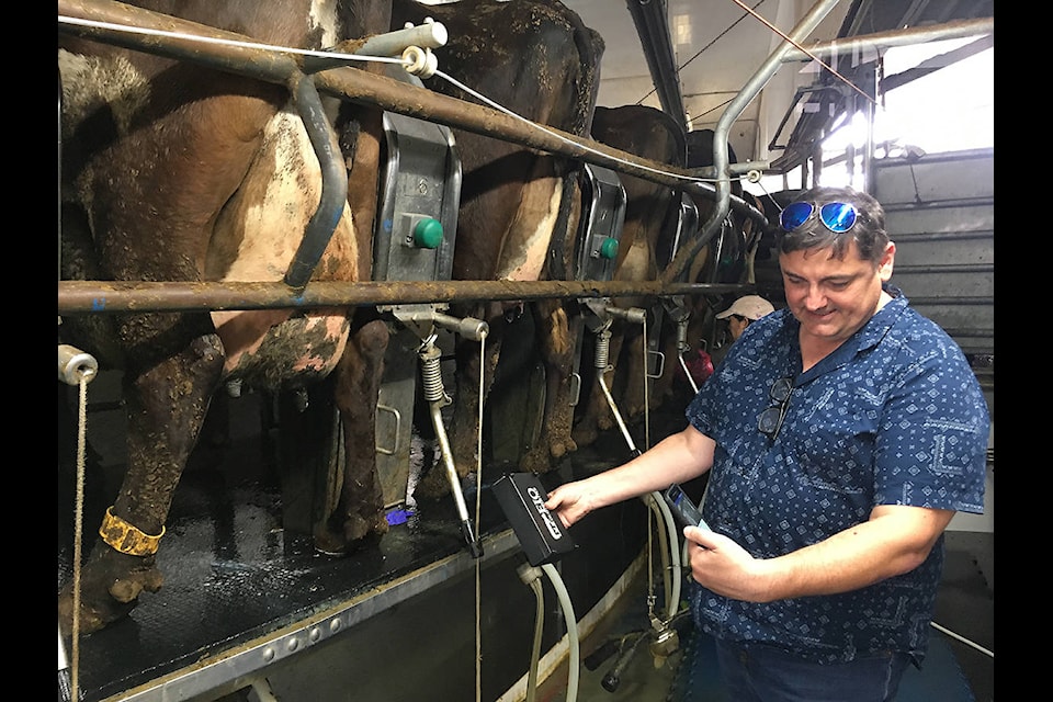 Damir Wallener, co-founder of Cowichan-based EIO Diagnostics, scans dairy cows in a barn in Texas for mastitis using new technology his company made. (Submitted photo) Damir Wallener, co-founder of EIO Diagnostics, scans dairy cows in a barn in Texas for mastitis using new technology his company made. (Submitted photo)