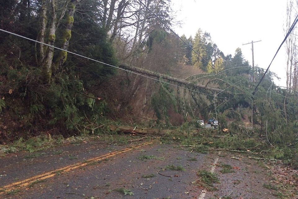 14948925_web1_181227-CCI-M-STORM-Cow-Bay-Rd-Friday-storm-damage