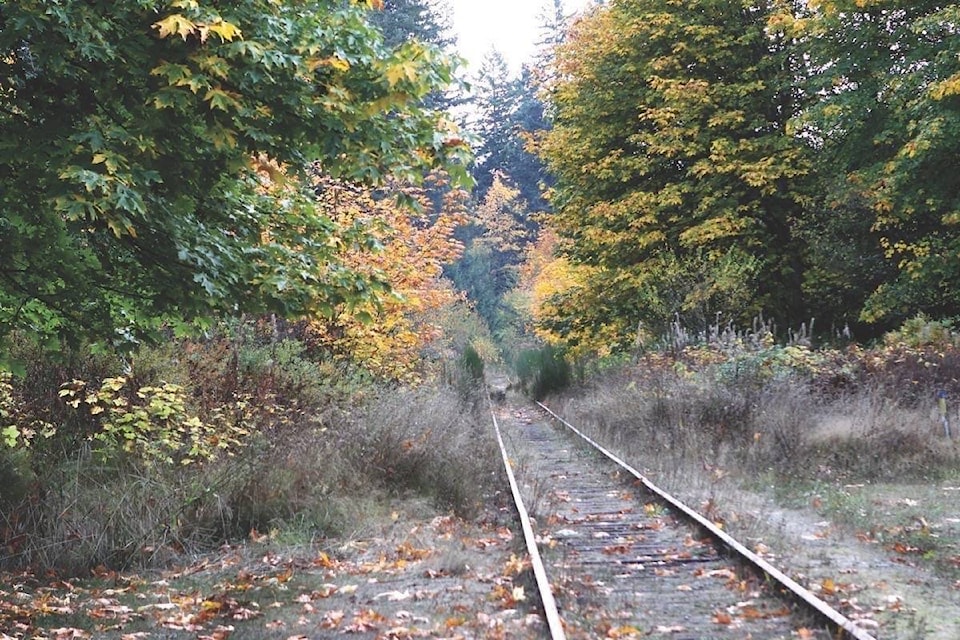 15306838_web1_190128-CCI-M-12801743_web1_7977233_web1_170803-CCI-M-EN-tracks-look-abandoned-at-Cow-Stn.cmyk.lb