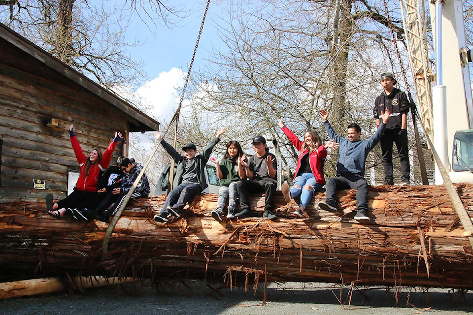Members of the Youth Engagement Program climb up onto the huge log to join carver Luke Marston in celebrating the arrival of the cedar for their canoe project. (Lexi Bainas/Citizen)
