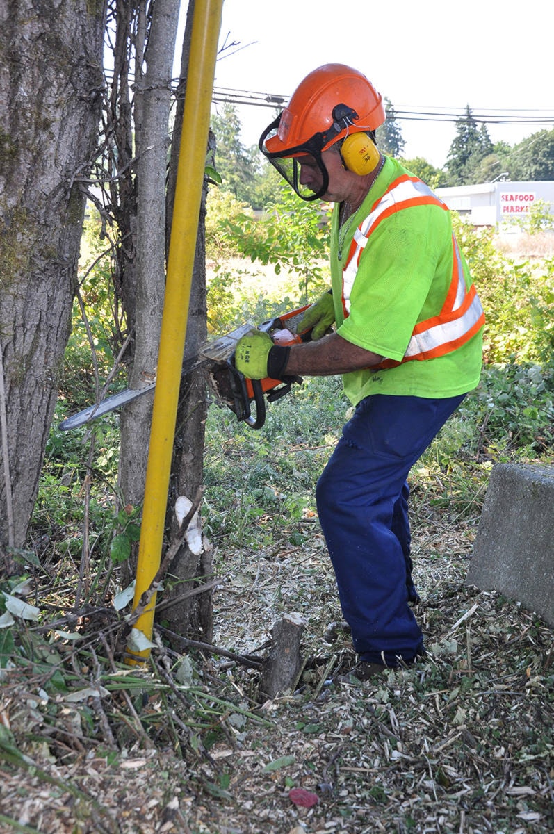 17911438_web1_BIZ-tree-trimming1