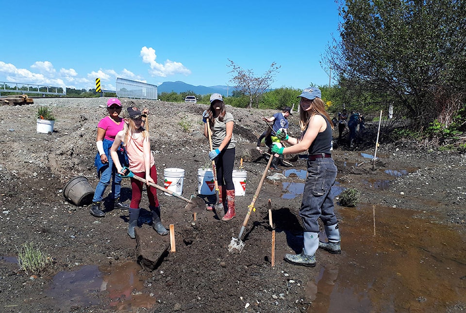 17492240_web1_Salmon-grant-Cowichan-estuary-Restoration-Youth