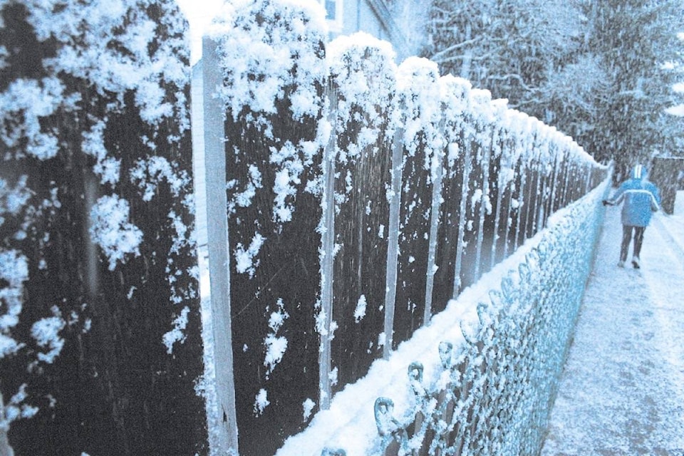 19500043_web1_170809-CCI-M-fenceline-in-snow