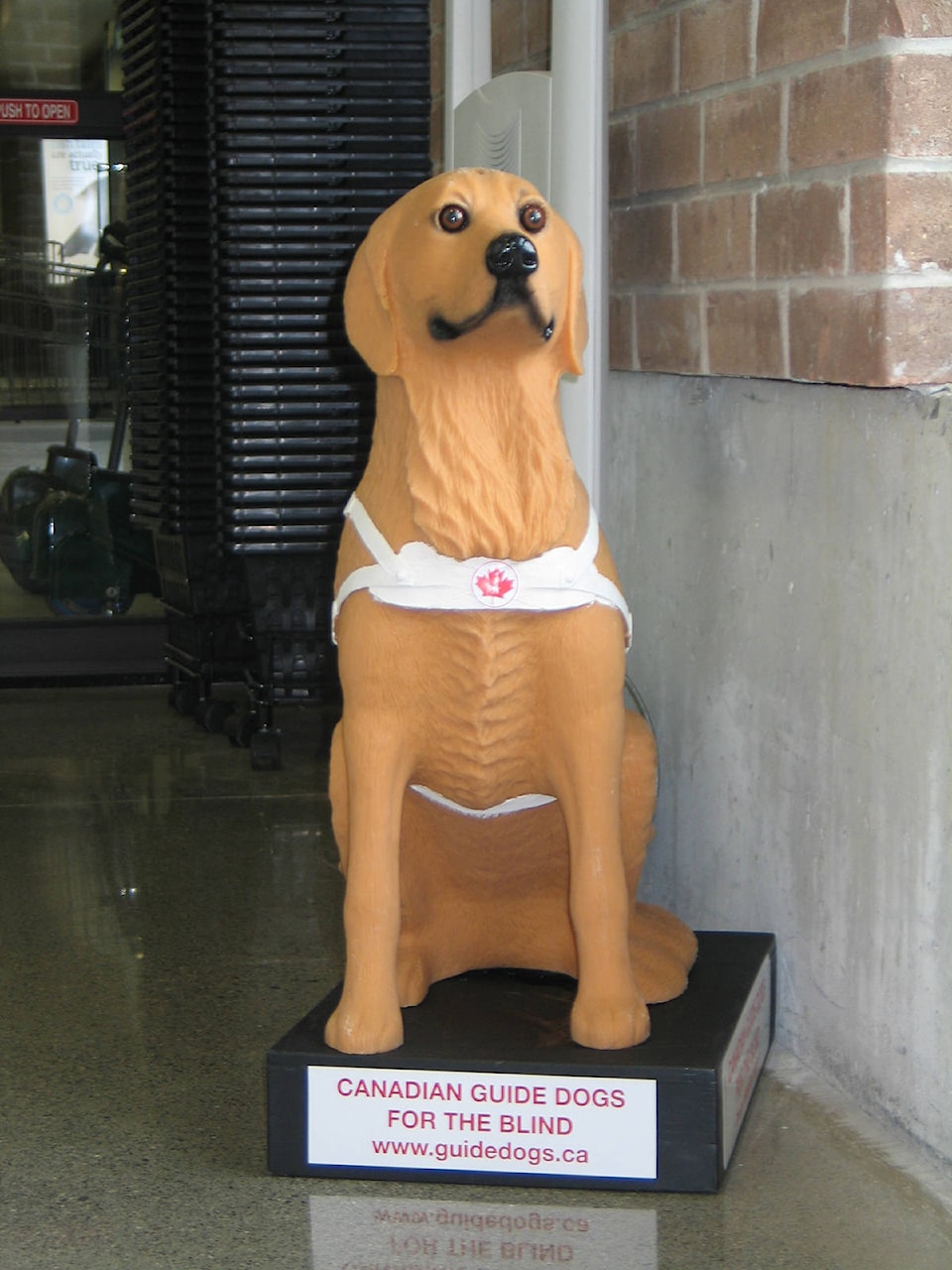 20792147_web1_201314-CCI-donation-dog-for-blind-stolen-big-dog_1