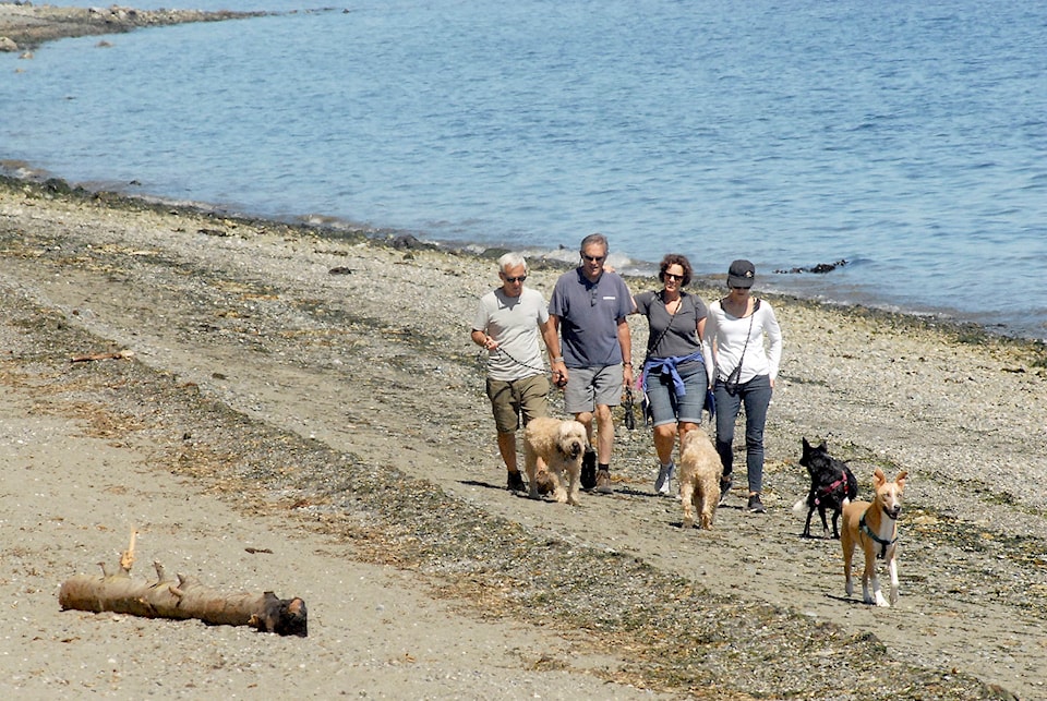 26003910_web1_beach-walkers-pdn-200726