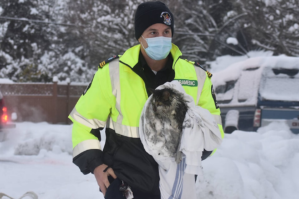 A paramedic carries a rescued cat away from the structure fire at Grant Avenue in Courtenay Tuesday, Dec. 28. Photo by Terry Farrell