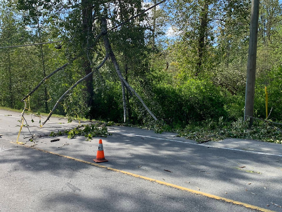 29181390_web1_220526-CCI-wind-storm-damage-branches-down_2