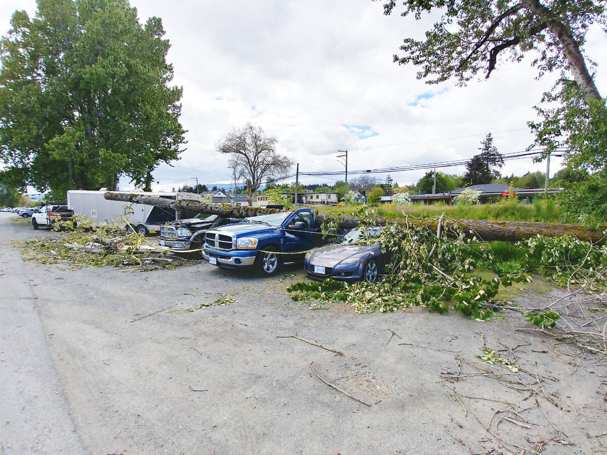 29181390_web1_220526-CCI-wind-storm-damage-cars-crushed_1