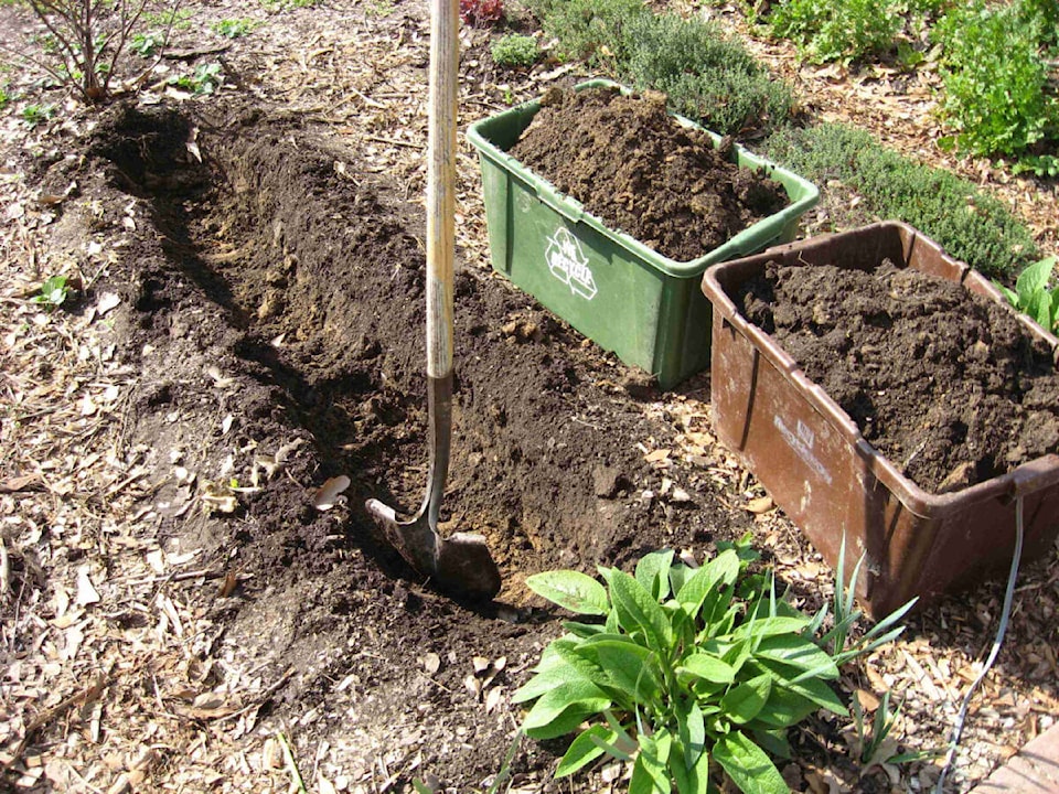 29476812_web1_220623-CCI-June23Lowther-trench-composting_1