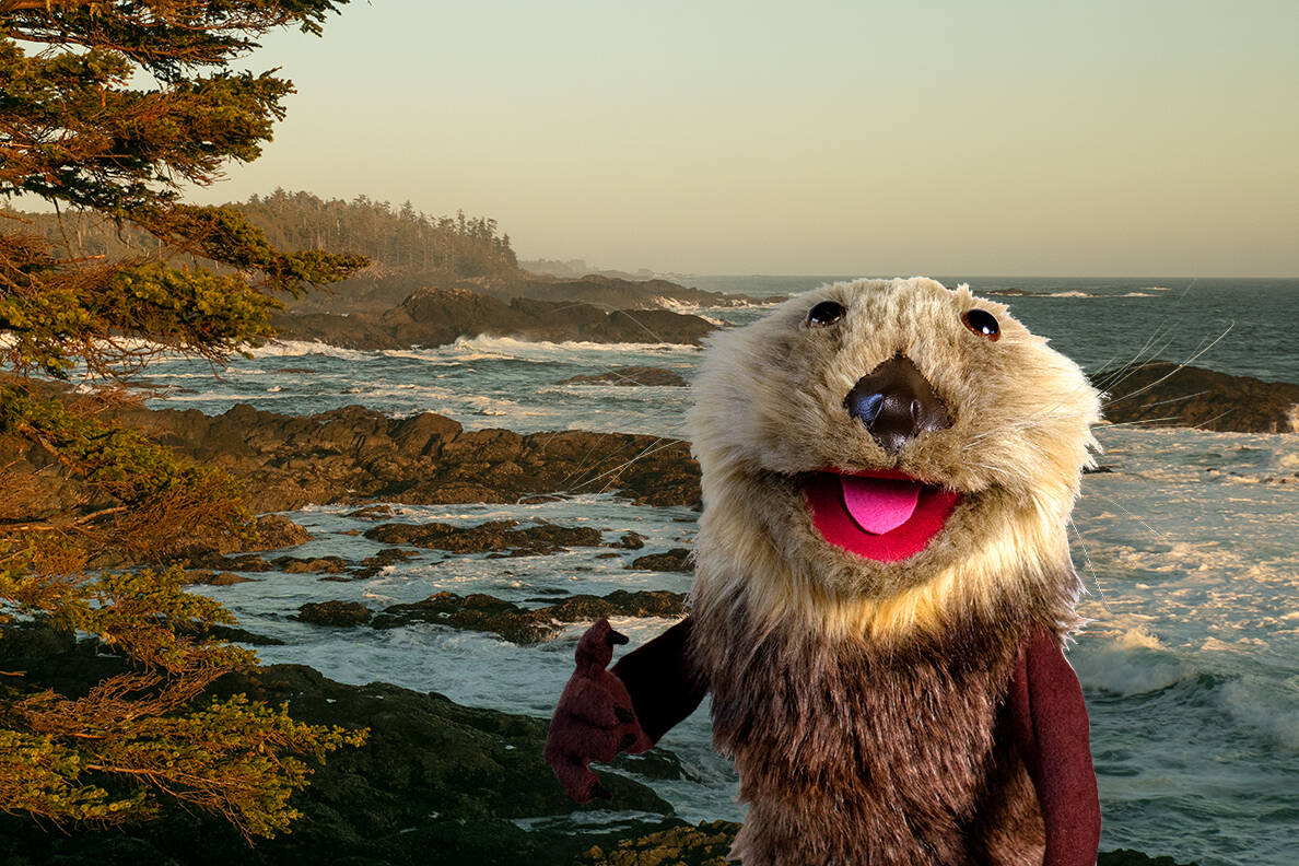 Tourism Ucluelets new spokes-otter, Salty, is sharing with residents and visitors alike how to love Ucluelet like a local.