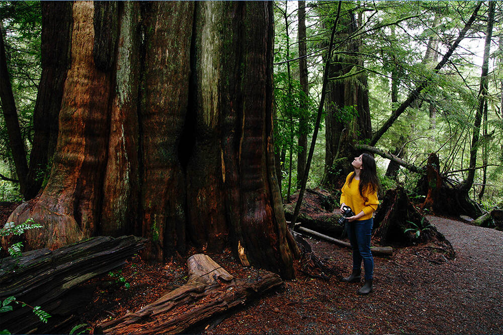 People enjoy the unspoiled beauty of Ucluelet because others before them have tried hard not to spoil it. Join them by becoming an unspoiler.