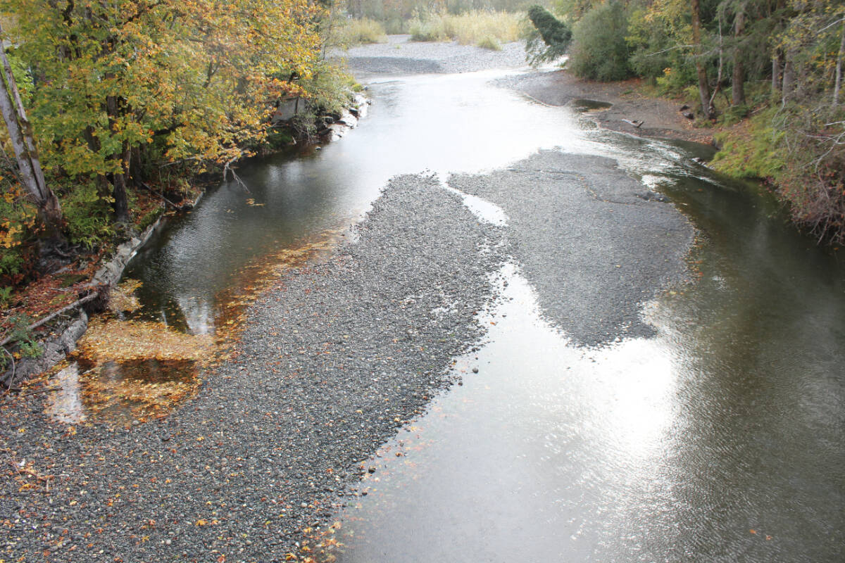 Chemainus River Flood Depth Map User Guide