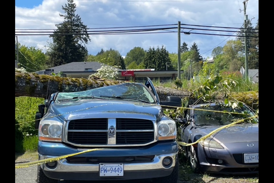 Cars were crushed on Duncan Street when a tree crashed down on them during the windstorm on Wednesday, May 18, 2022. (Sarah Simpson/Citizen)