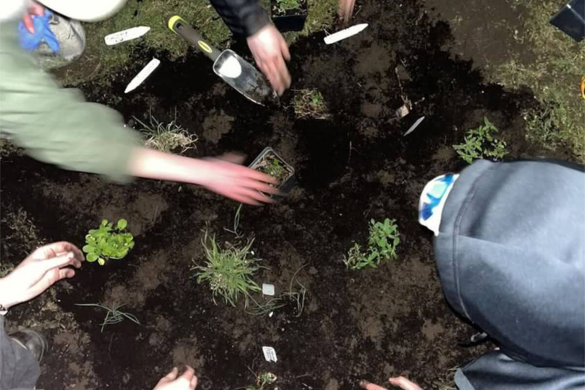 The group planted the garden in the middle of the night on March 27. (Courtesy of Shay Ogurek)