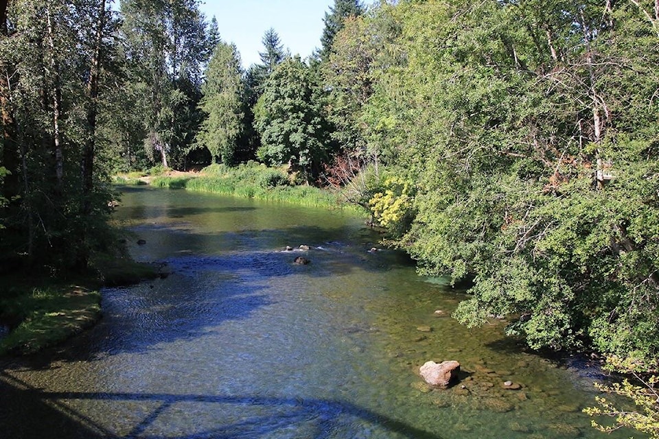 33301453_web1_230525-LCO-editorial-Cowichan-River_1
