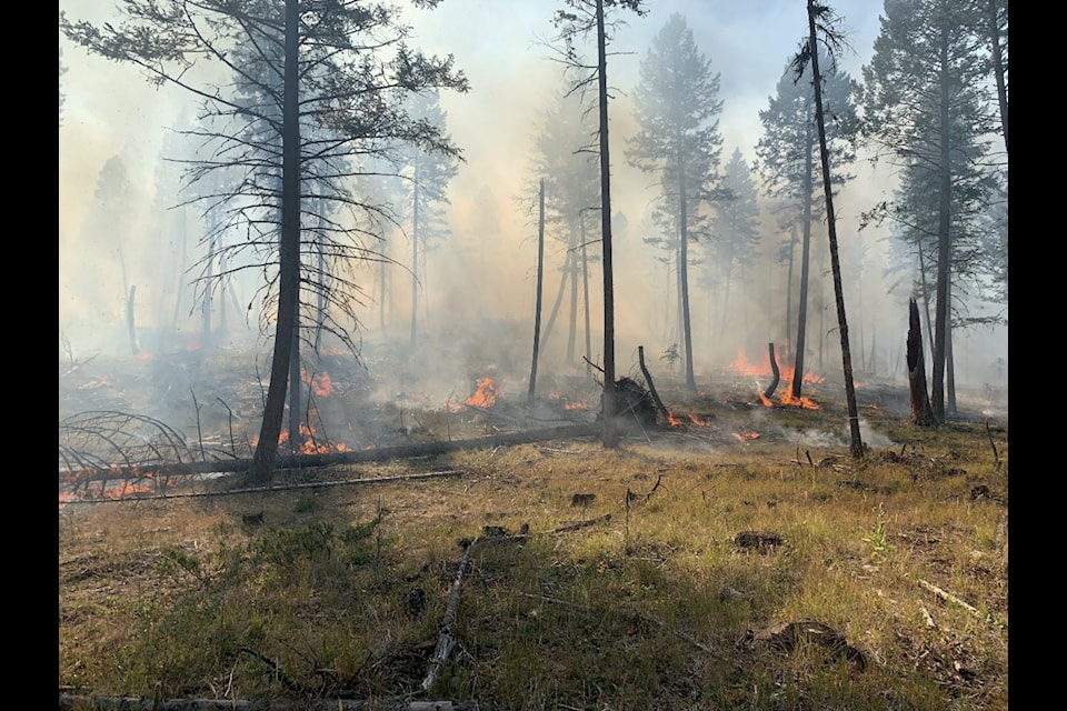 The City of Cranbrook conducted three prescribed burns in the last number of weeks. Photo courtesy Cranbrook Fire and Emergency Services.