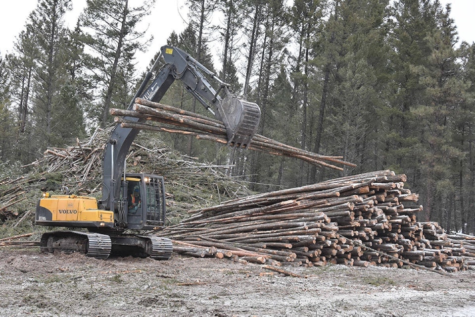 logging-pic