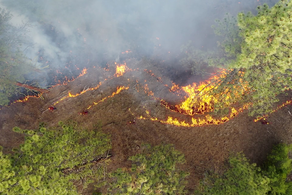 prescribed-fire