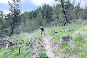 CBT grant supports Kootenay trail maintenance