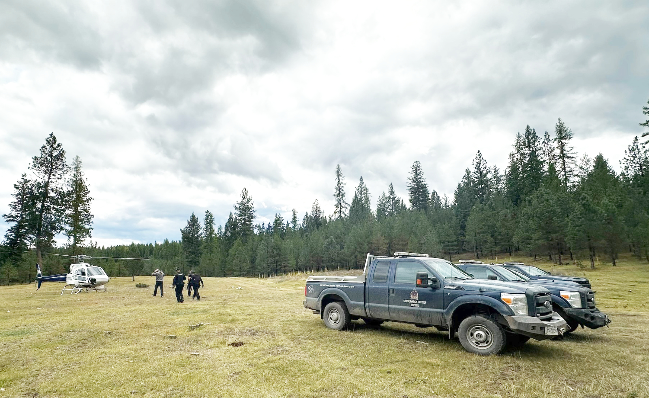 Man airlifted to hospital after grizzly attack in B.C.'s East Kootenay region