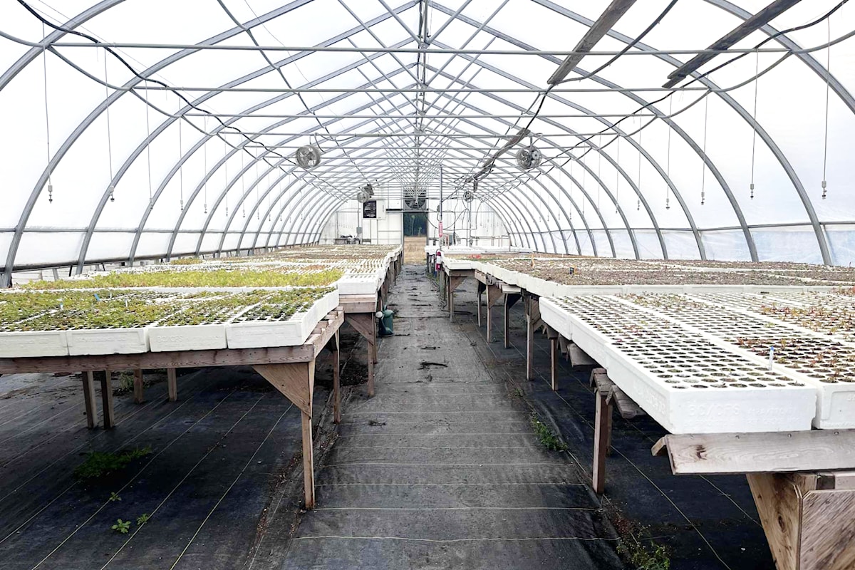 Canada’s first Indigenous plant nursery takes root in the Kootenays