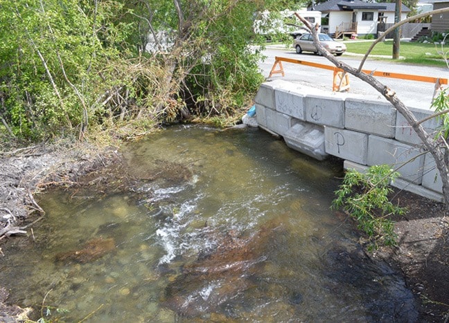 44003cranbrookdailycreek_erosion_1forweb