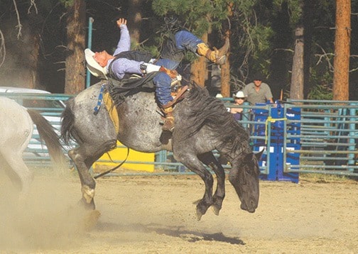 46898cranbrookdailyrodeo_4