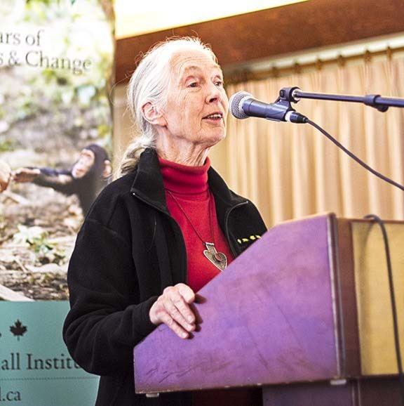 52313cranbrookdailyJANEGOODALL_web_o1