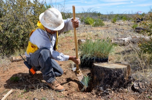 69712BCLN2007White_Mountain_Apache_Arizona-105