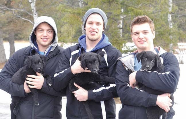 7787cranbrookdailyice_with_puppies_web