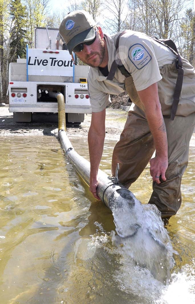 889cranbrookdailytrout_spout_web