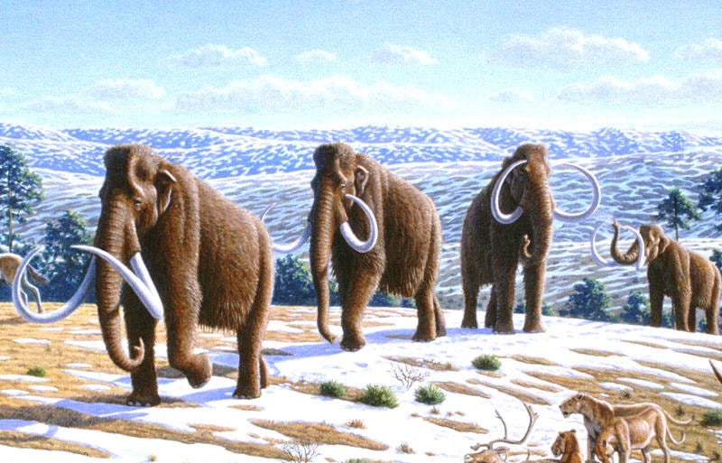 8918346_web1_woolly_mammoth