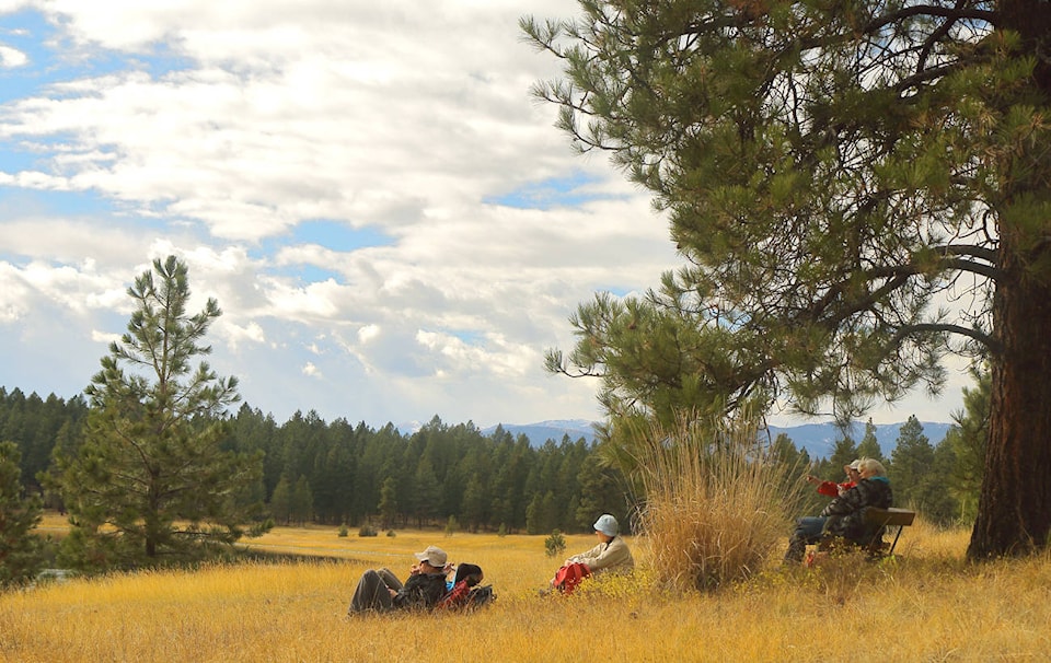 14237192_web1_181013.3-Rocky-Mt-Nats-at-Sylvan-Lake-Cranbrook-Community-Forest.-DH