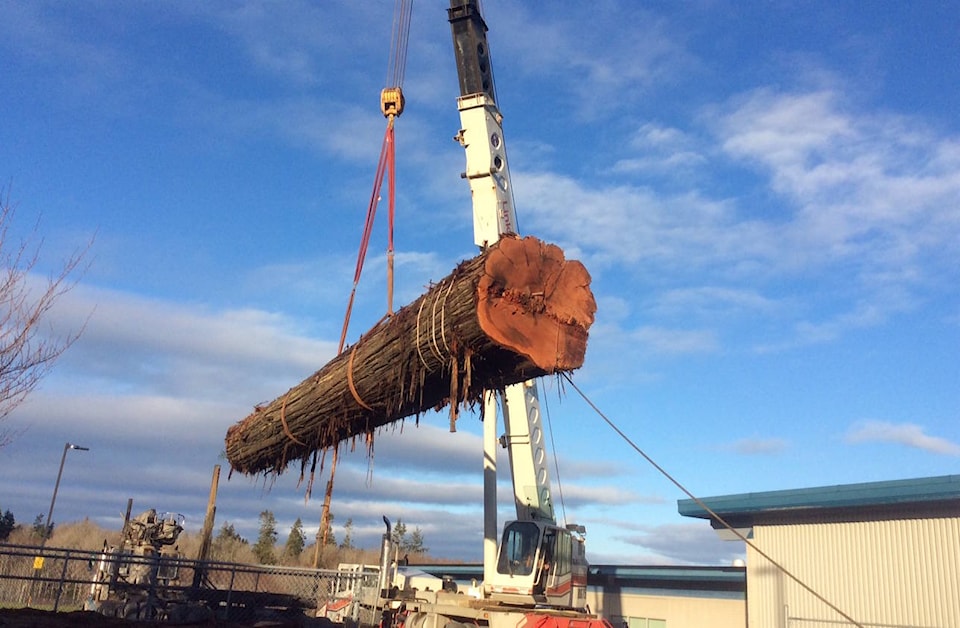 18163146_web1_cedar-totem-log-nanwakolas.feb2.19.bcg