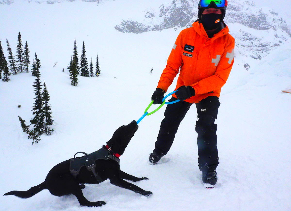 Fernie ski patroller Steve Morrison with his avalanche rescue dog in training, Sadie. (Scott Tibballs / The Free Press)