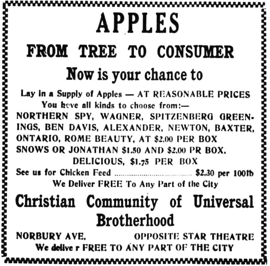 Doukhobor apple advertisement, Cranbrook Herald, November 19, 1925 to January 28, 1926.