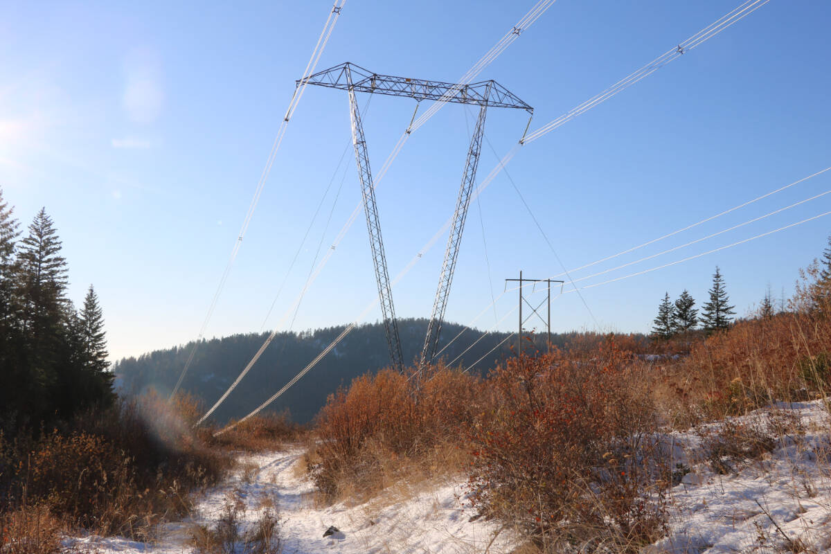 Jim Urquhart has been looking for answers, sending letters and making inquiries to the B.C. government and power companies for more than 10 years. Photo: Jim Bailey