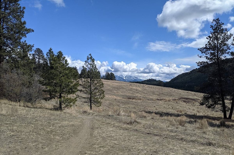 32695489_web1_210415-FFP-MtnBike-forest_1