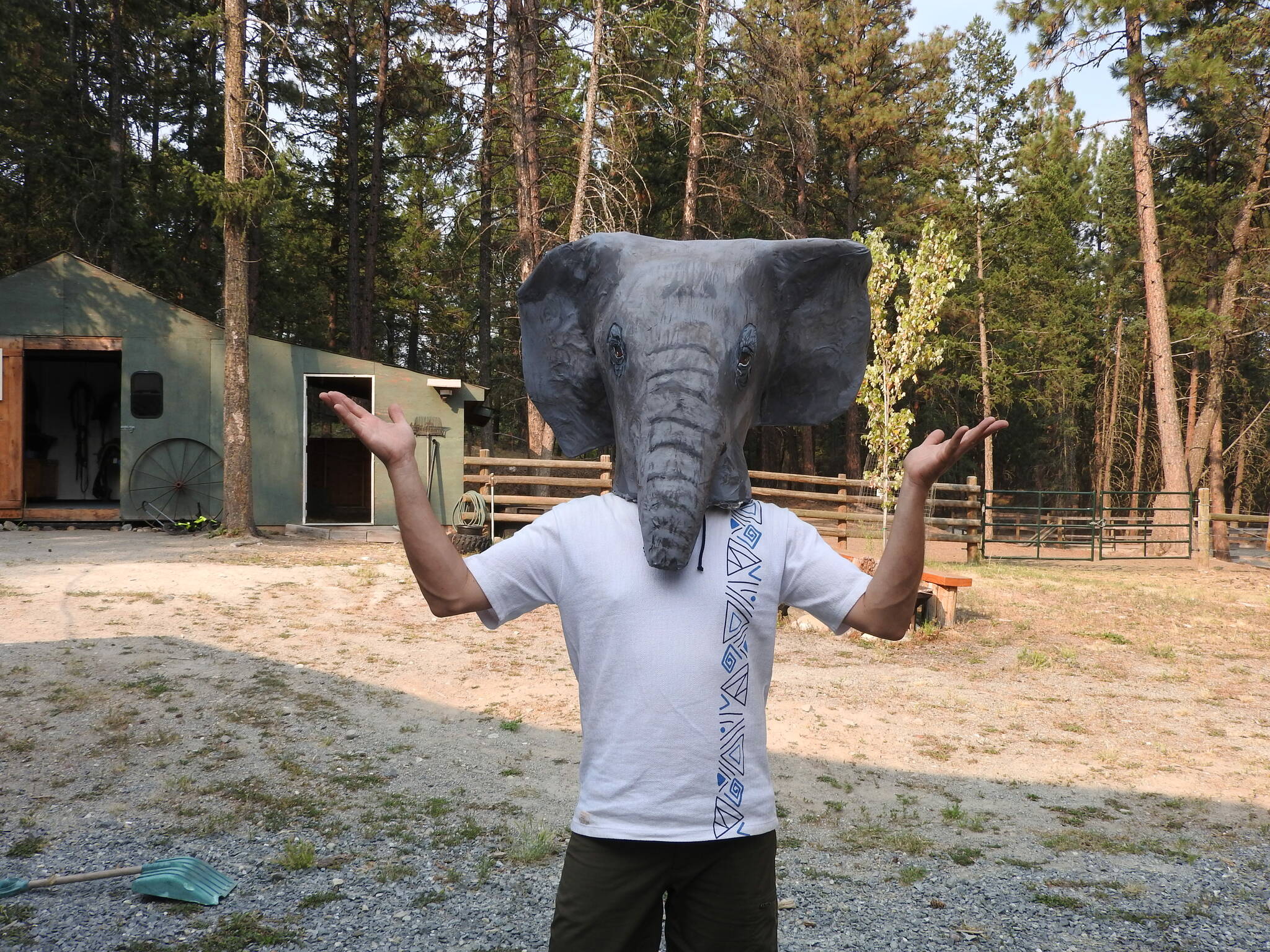 33527782_web1_230808-CDT-elephant-ed-puppet-Ed-Fest-2023_3