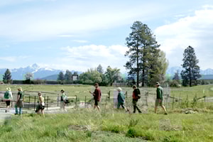 Elizabeth Lake Migratory Bird Day