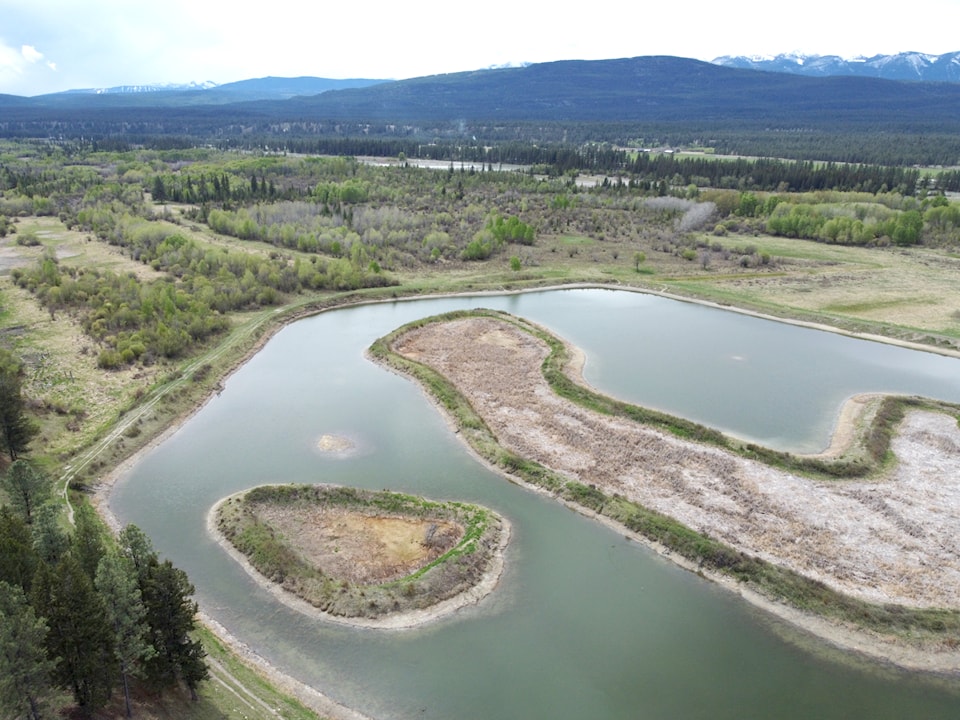 wolf-creek