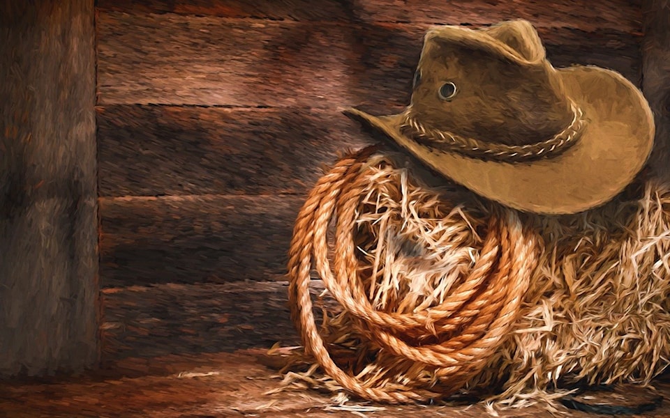 lasso-1202578_1280