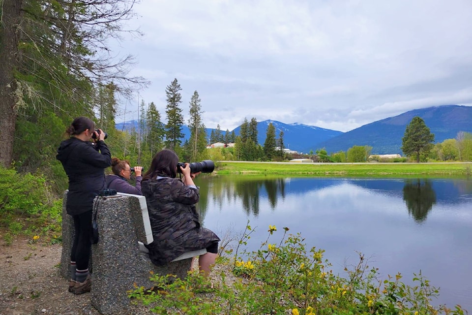 Mawson Lake is one of the popular birding sites for the Creston Valley Bird Festival. 