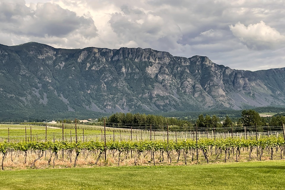 Enjoy views of the Skimmerhorn from Baillie-Grohman Estate Winery.