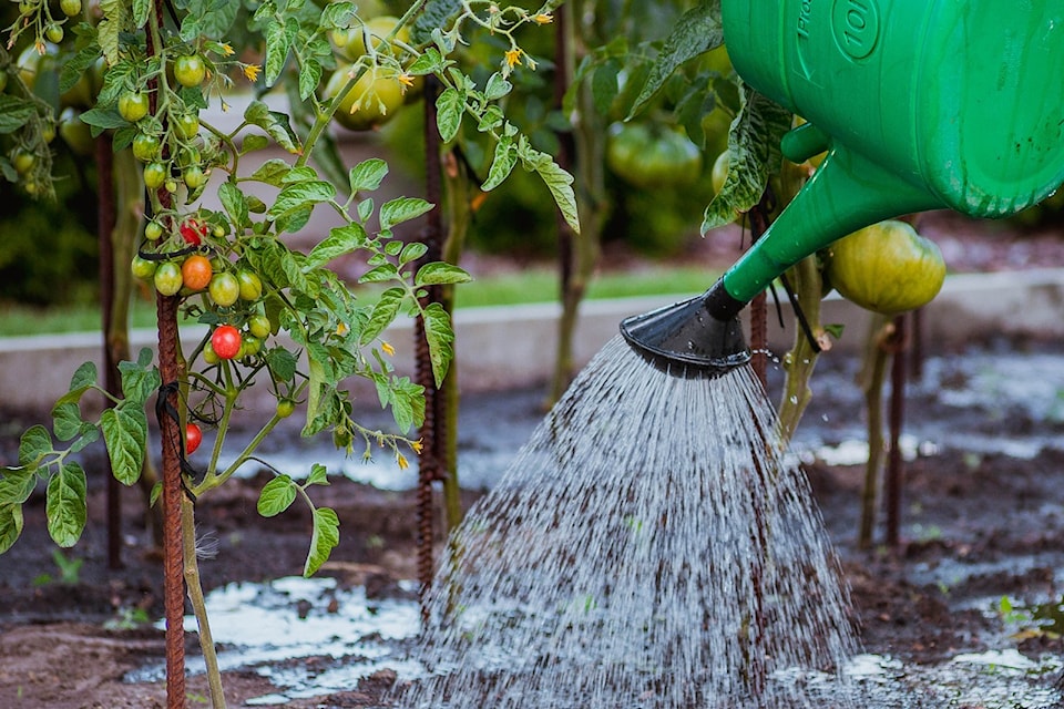 watering-can